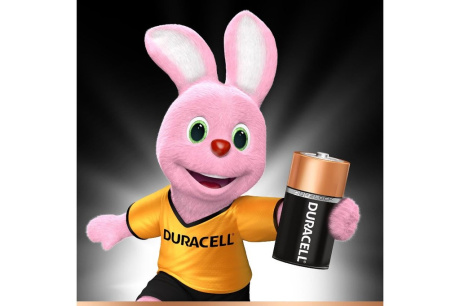 Купить Батарейка щелочная DURACELL LR14 C 1.5B 2BL фото №2